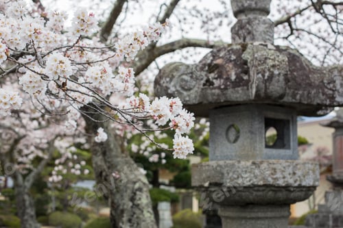 Preview: Stone Lantern In Japan