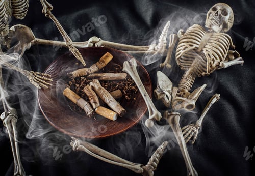 Preview: Still Life Of Model Skeletons With Cigarettes On Wooden Floor,Skull And Crossbones