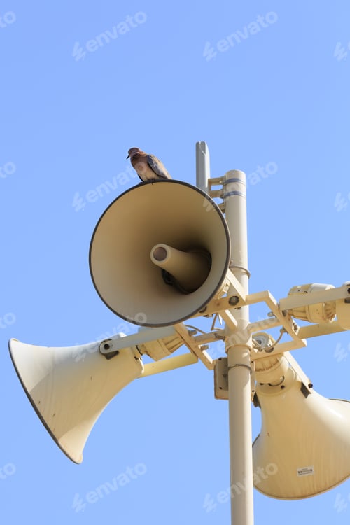 Preview: Megaphone And Bird