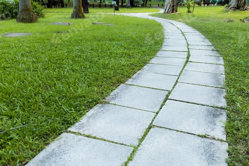Preview: Pavement Walk Path In Park