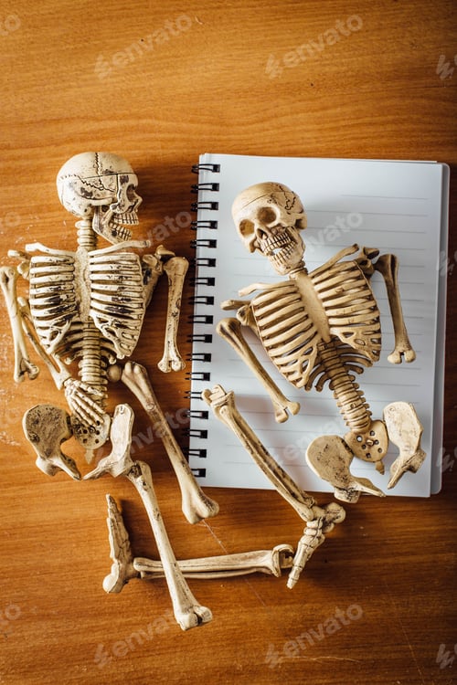 Preview: Model Skeletons With Note Book On Wooden Floor,Top View