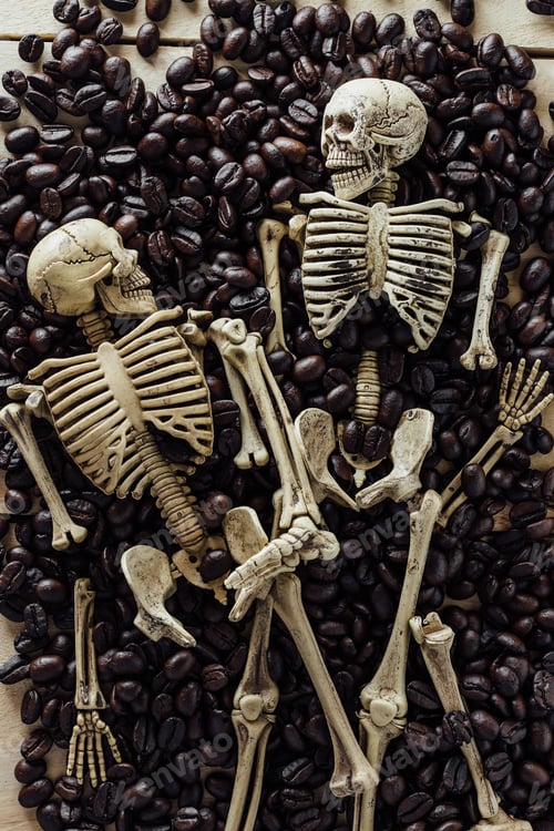 Preview: Model Skeleton With Coffee Beans On Wooden Background