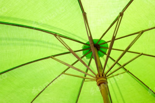 Preview: Green Parasol Background.