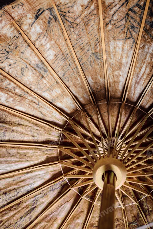 Preview: Still Life Of Paper Umbrella