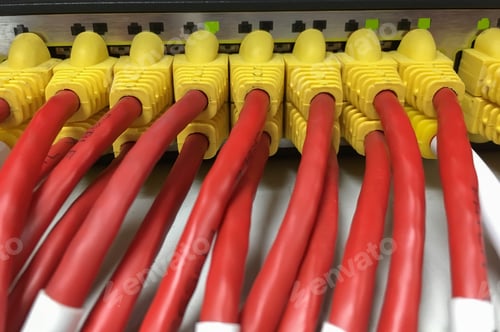 Preview: Network Cables Connected In Network Switches