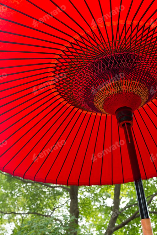 Preview: Japanese Red Umbrella Under Tree