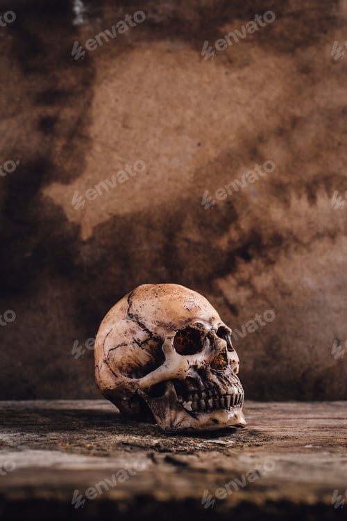 Preview: Still Life Of Skull On Wooden Floor