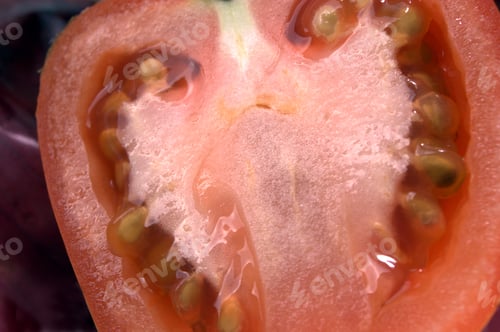 Preview: Tomato Half Macro On Bed Of Red Onion Skins