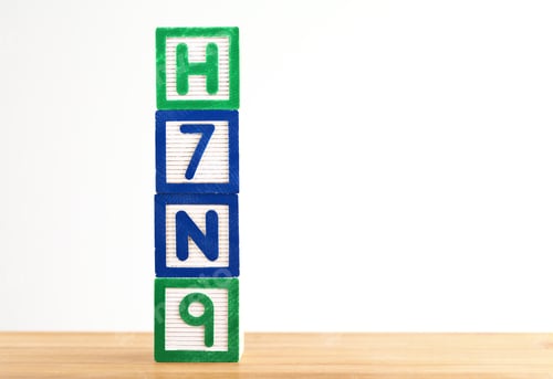 Preview: H7N9 Wooden Toy Block