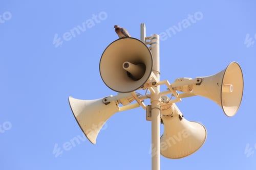 Preview: Megaphone And Bird