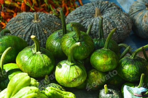 Preview: Young Green Pumpkins Sold In The Morning Market Of Luang Prabang, Laos