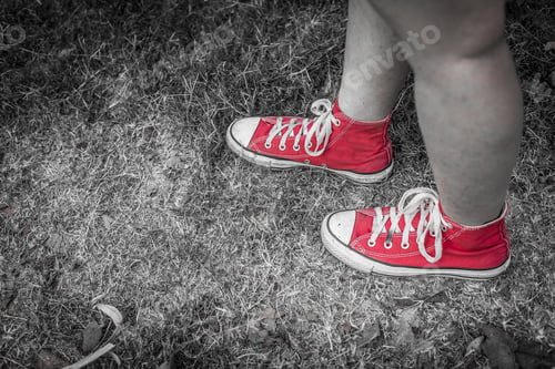 Preview: Still Life Of Red Sneakers On Street