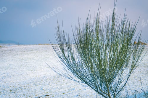 Preview: Snowy White Landscape Of Bernkastel, Germany
