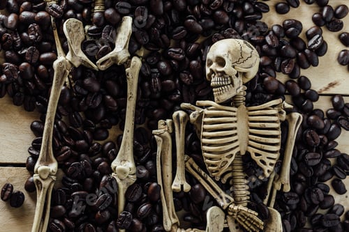 Preview: Model Skeleton With Coffee Beans On Wooden Background