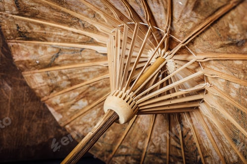 Preview: Still Life Of Paper Umbrella