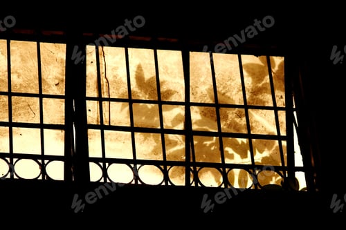 Preview: Silhouettes Outside An Old Dusty Window