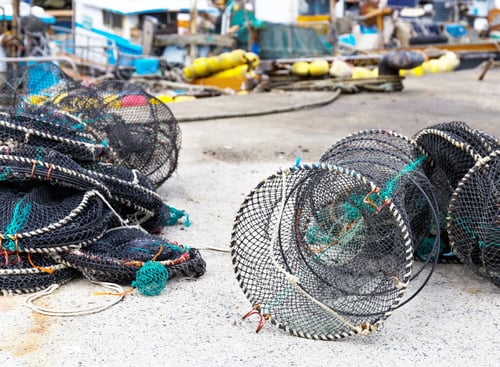 Preview: Traps For Capture Fisheries