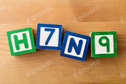 Preview: H7N9 Toy Block
