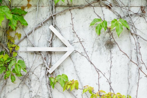 Preview: Arrow Over Ivy Leaves Background