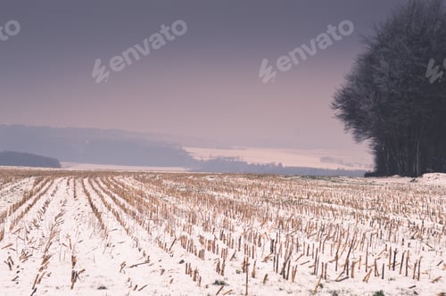 Preview: Dusk In The Snow Covered Landscape Of Bernkastel-Kues, Germany