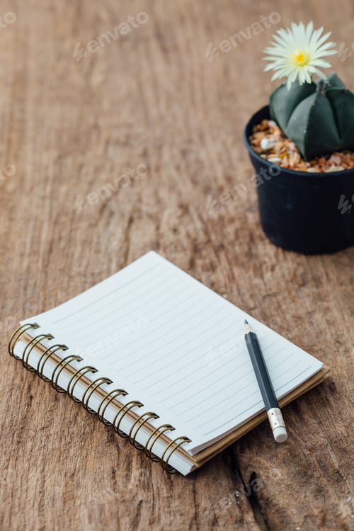 Preview: Cactus Flower With Note Book And Pencil On Wooden Table,Vintage Filter