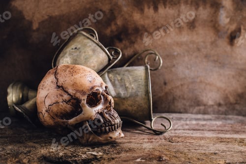 Preview: Still Life Of Skull On Wooden Floor