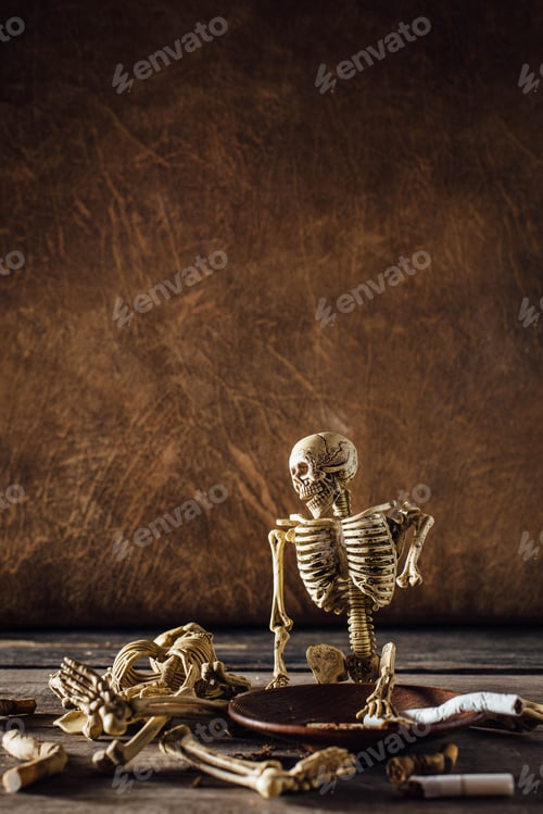 Preview: Still Life Of Model Skeletons With Cigarettes On Wooden Floor
