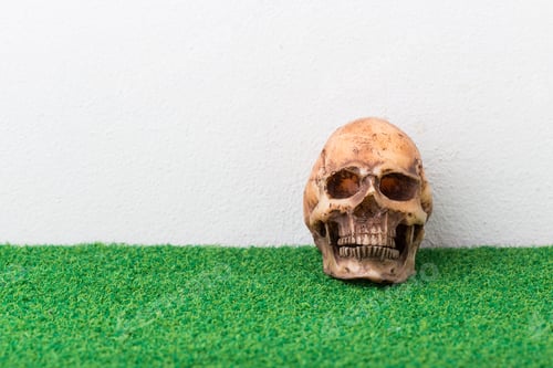Preview: Skull On Grass With White Background