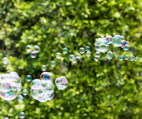 Preview: Bubbles