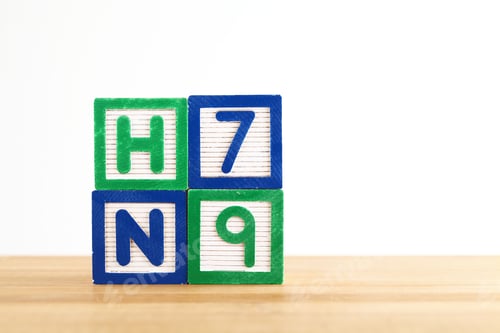 Preview: H7N9 Alphabet Toy Block