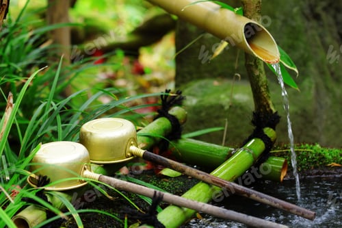 Visualização: Fonte de água de bambu com concha no templo japonês