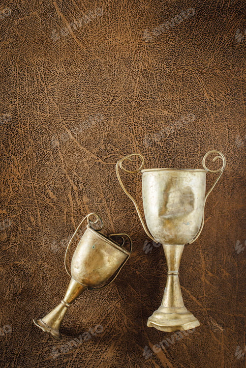 Preview: Still Life Of Old Trophies On Leather Background