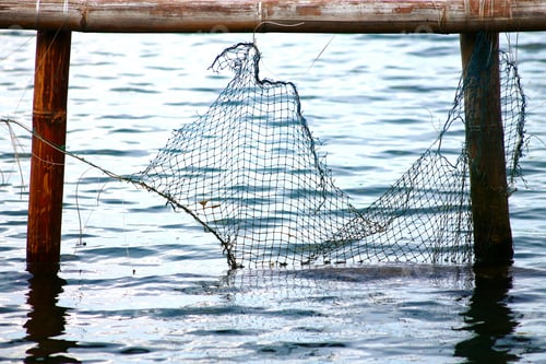 Preview: Broken Fishing Net Hanging From Bamboo Poles