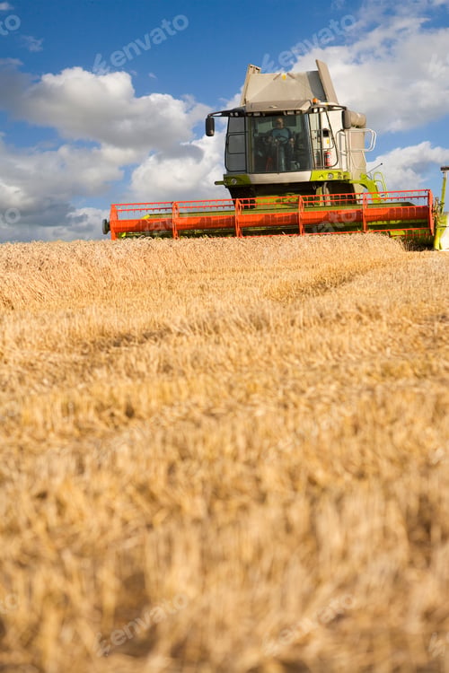 Preview: Combine Harvester Harvesting Wheat Field On Farm Against Blue Sky