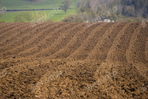 Preview: Ploughed Field