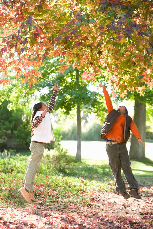 Preview: Active Children Jumping To Catch Autumn Leaves On Tree