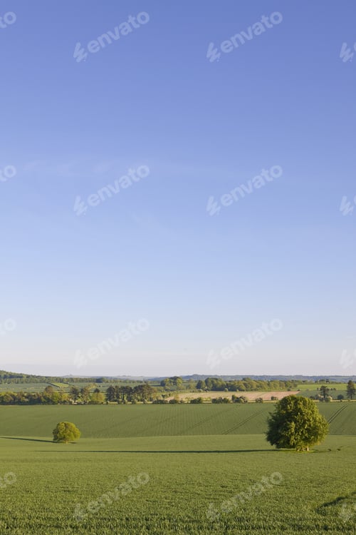 Preview: Blue Sky Over Tranquil Countryside Farmland