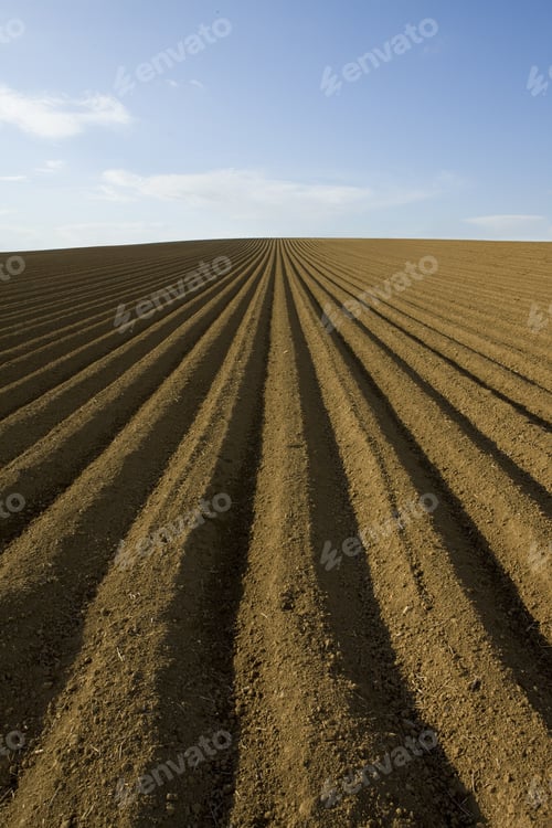 Preview: Ploughed Field