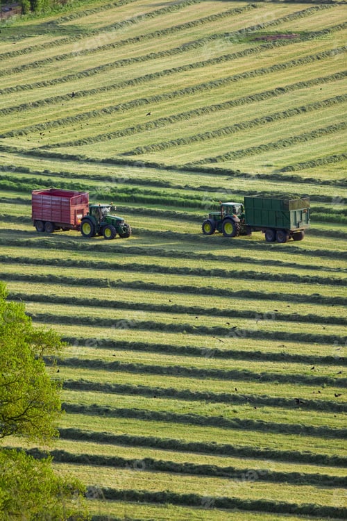 Preview: Tractors And Trailers Cutting Silage In Field