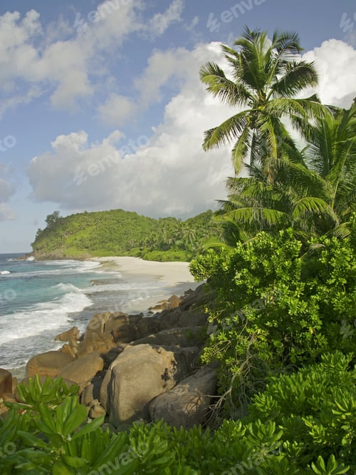Preview: Rocks And Palm Trees Along Shore, Police Bay, Mahe', Seychelles