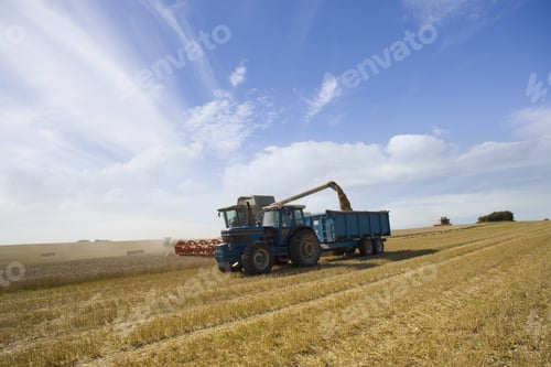 Preview: Combine Harvesting Wheat And Filling Trailer In Sunny, Rural Field