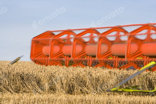 Preview: Combine Harvesting Wheat