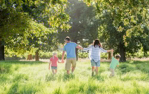 Visualização: Família desfrutando de uma caminhada na bela paisagem