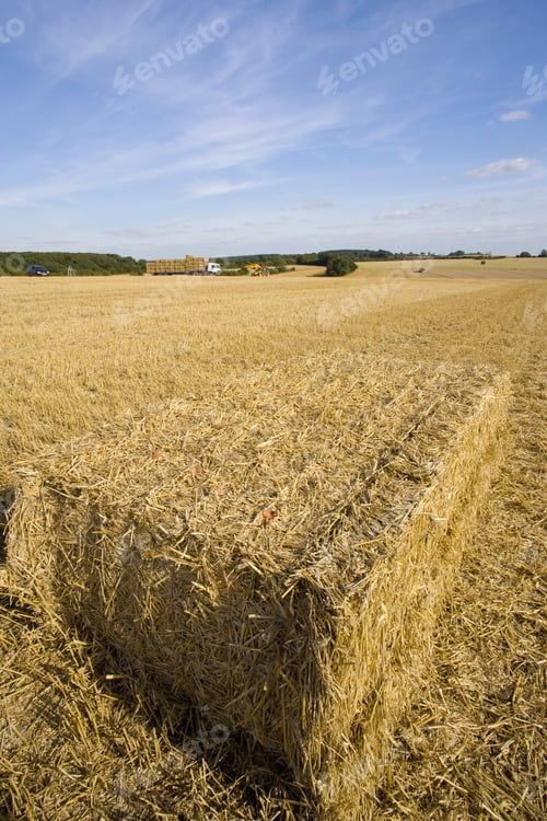 Preview: Straw Bale In Sunny, Rural Field