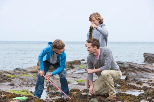 Preview: Father With Sons On Winter Beach Playing With Seaweed On Rocks