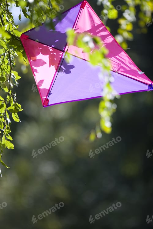 Preview: Kite In Tree