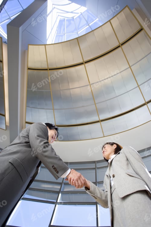 Preview: Businessman And Woman Standing Below Skylight In Airport, Shaking Hands, Side View, Low Angle View