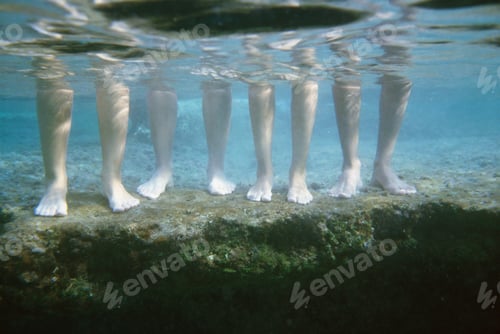 Preview: Low Section View Of Four People Standing In Water