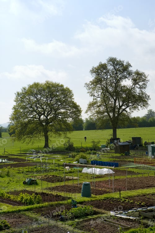 Preview: Large Vegetable Garden