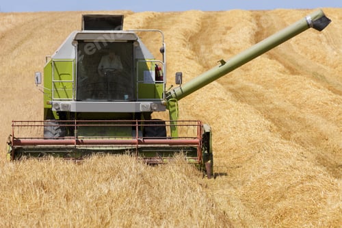 Preview: Farmer Driving Combine In Barley Field